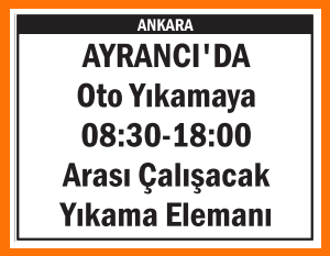 OTO YIKAMA ELEMANI AYRANCI