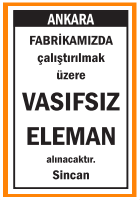 VASIFSIZ ELEMAN SİNCAN