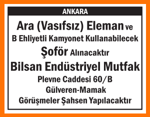 MAMAK GÜLVEREN ARA VASIFSIZ ELEMAN