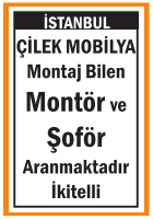 MONTAJ BİLEN MONTÖR VE ŞOFÖR
