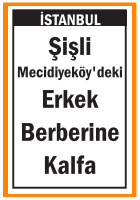 ERKEK BERBERİNE KALFA